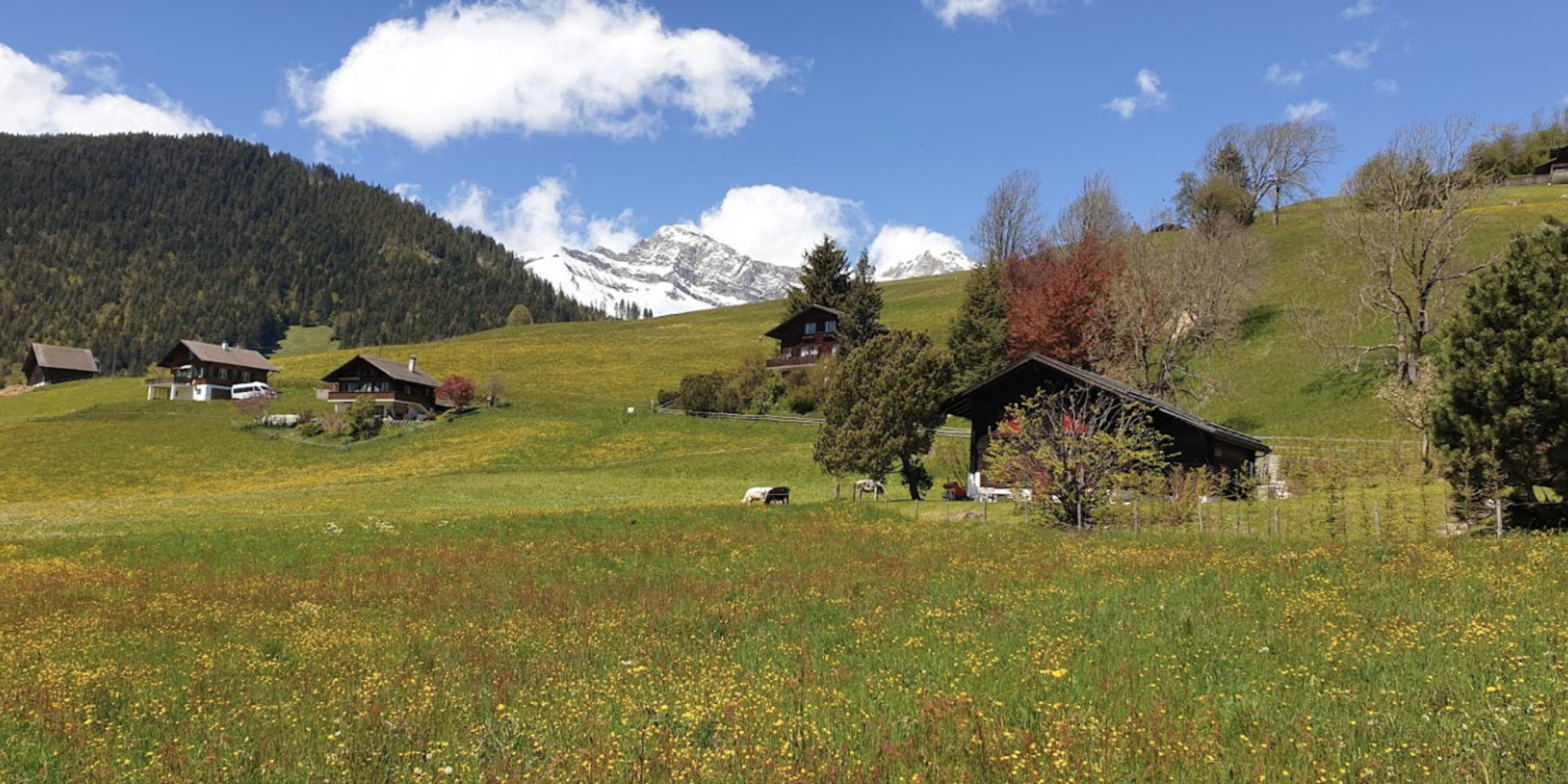 Flendruz, au coeur des montagnes