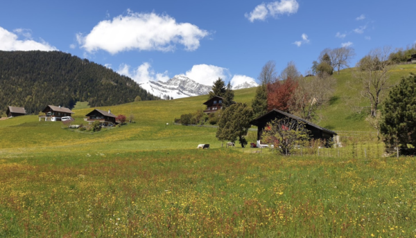 Flendruz, au coeur des montagnes